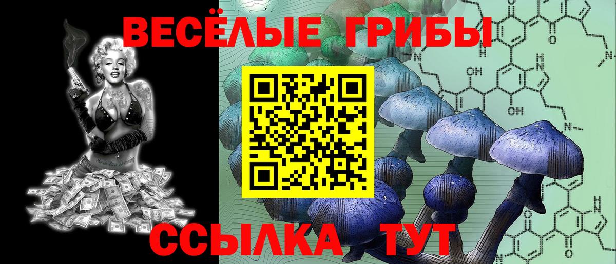 Галлюциногенные грибы Psilocybe  Псилоцибиновые грибы GOLDEN TEACHER  Вичуга  закладки  Вход с VPN 