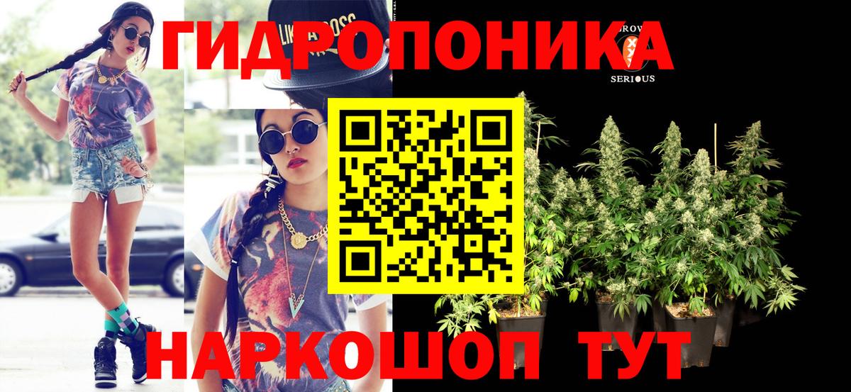 Вичуга  Конопля конопля  Вход с VPN  Бошки марихуана гибрид  Марихуана тримм 